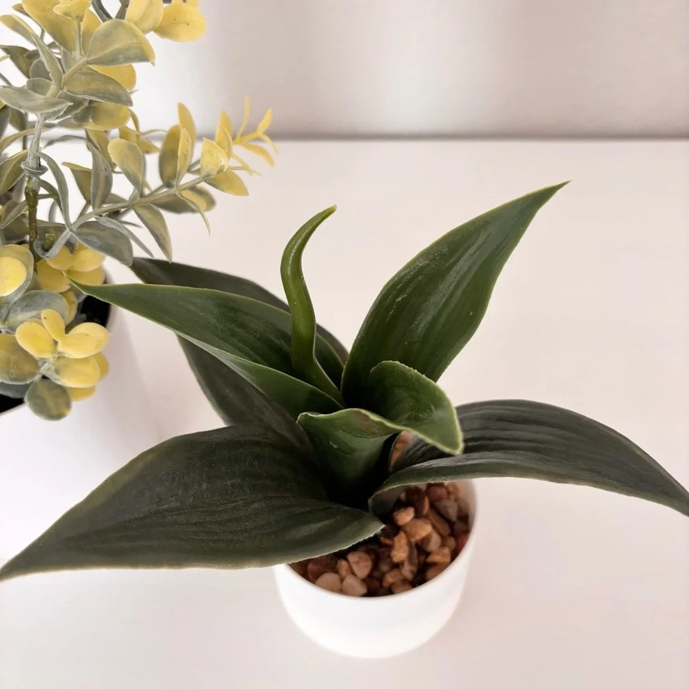 Threshold faux potted